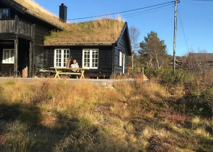 Remestoylflotti Hyttegrend