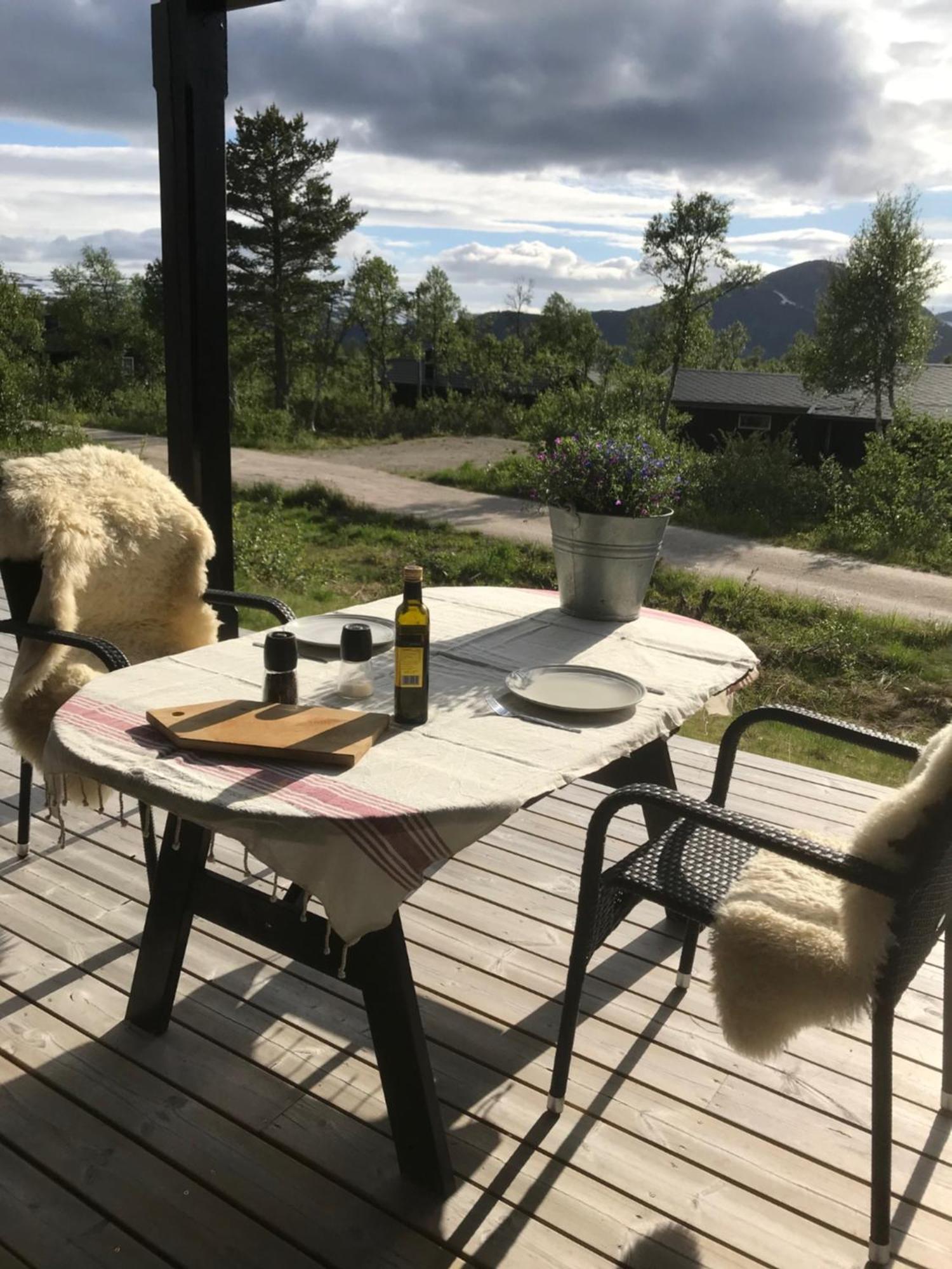 Remestoylflotti Hyttegrend Hovden (Aust-Agder)