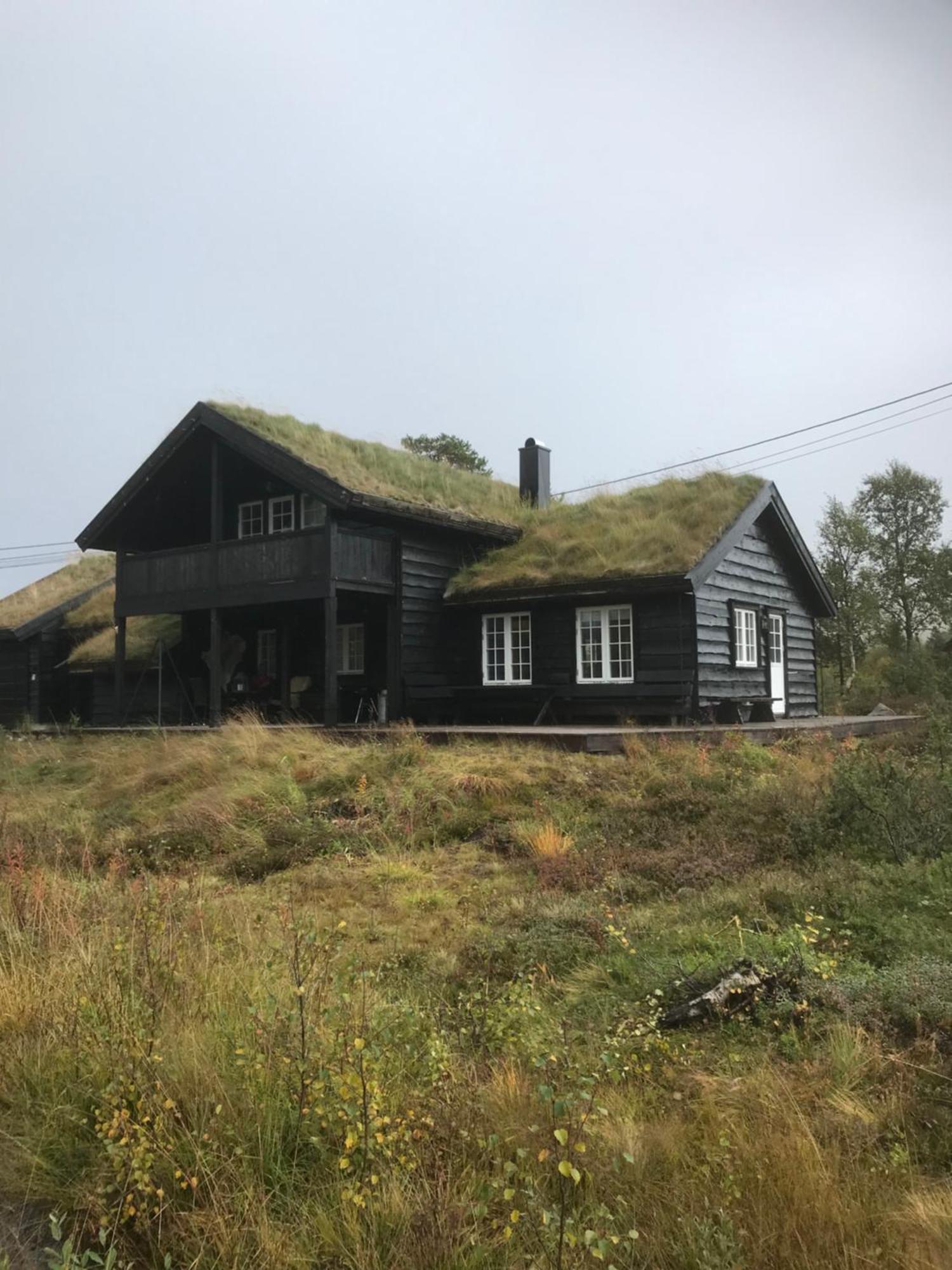 Remestoylflotti Hyttegrend