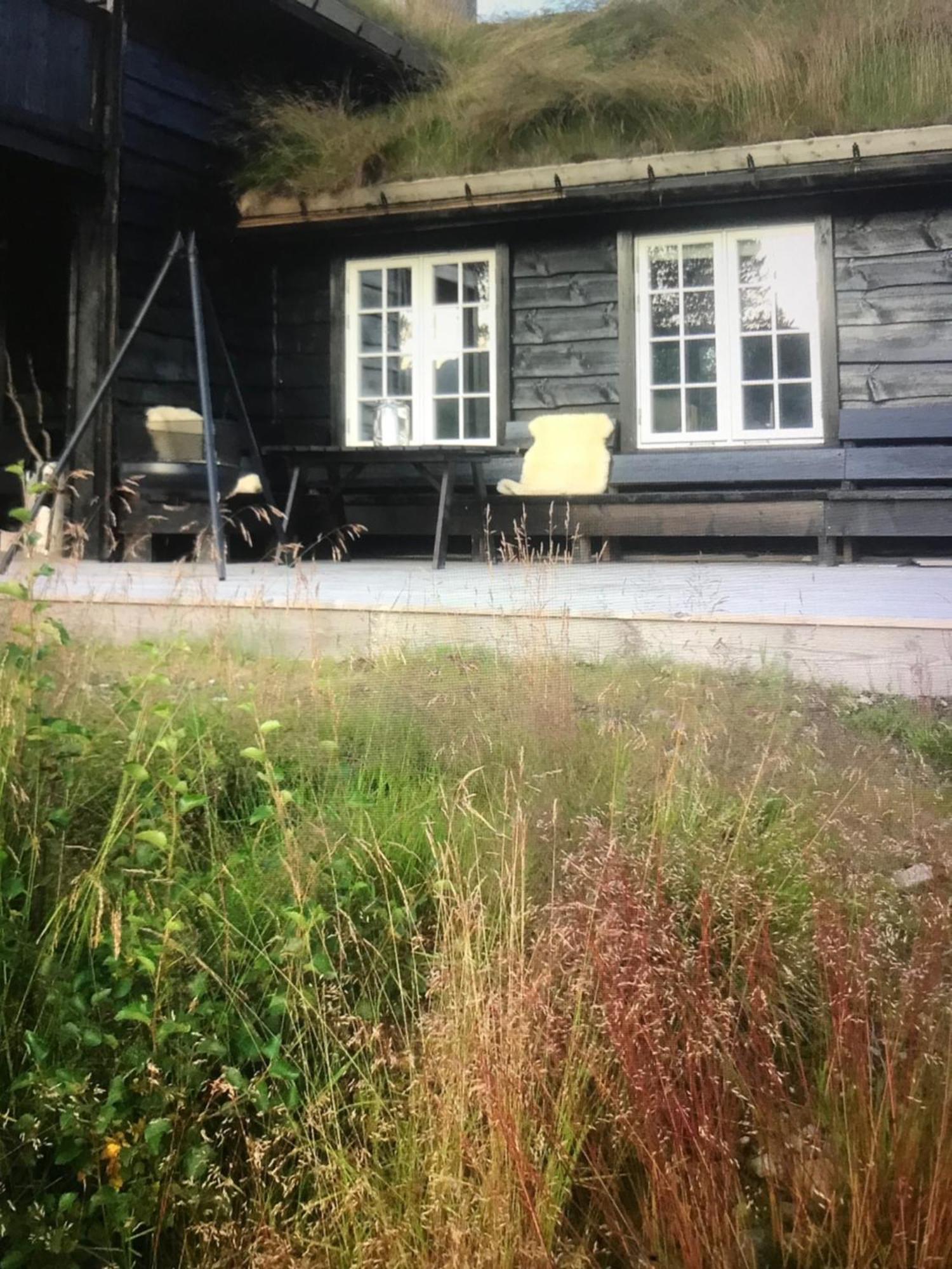Remestoylflotti Hyttegrend * Hovden (Aust-Agder)